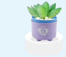 Lade das Bild in den Galerie-Viewer, Stapelbecher - 8 Stück Mehrfarbig - Lernspielzeug für Kinder