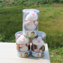 Lade das Bild in den Galerie-Viewer, PELUCHE QUI PARLE - HAMSTER - 9mois et moi

